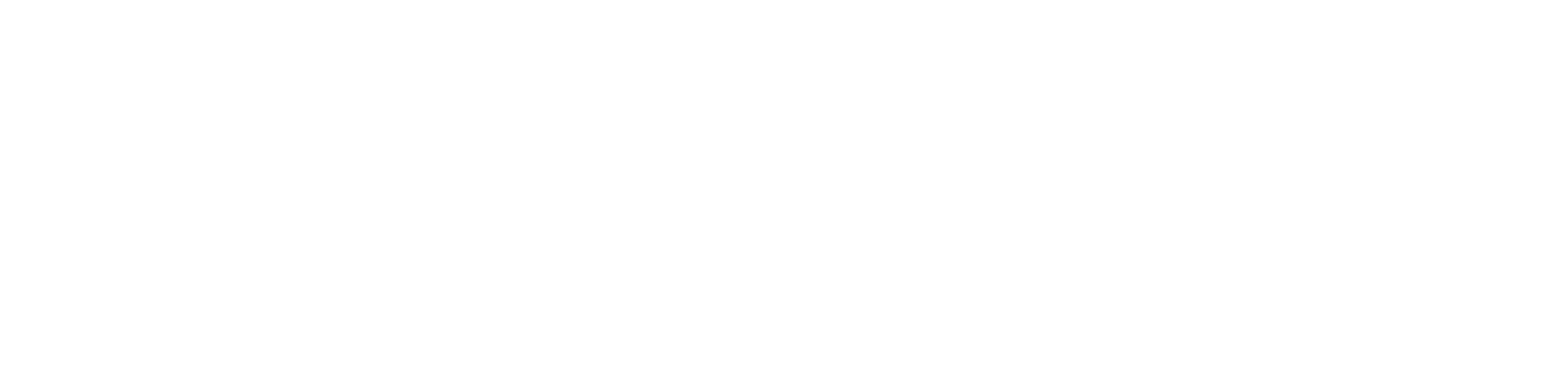 teads-logo-landscape-monochrome-white-cmyk